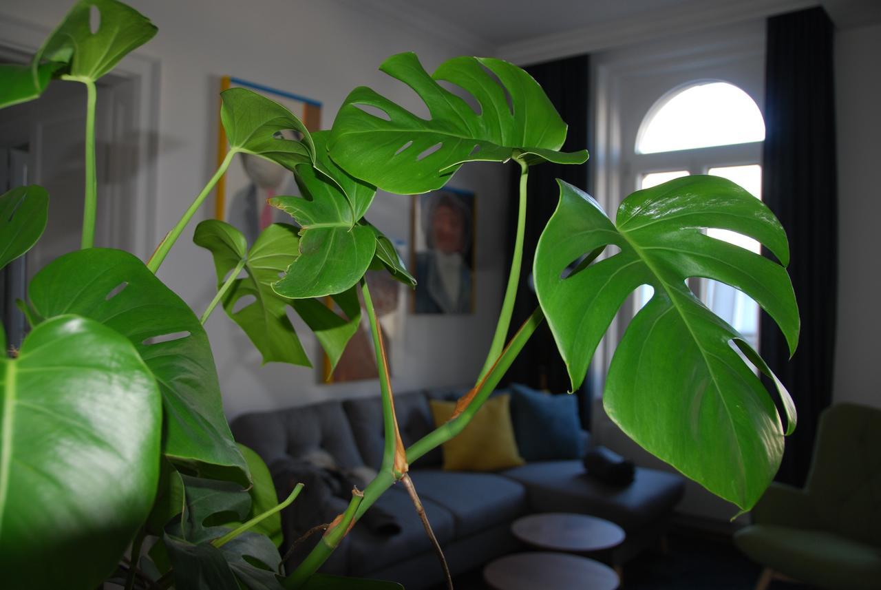 My In - Smart - Margareten Apartment Wien
